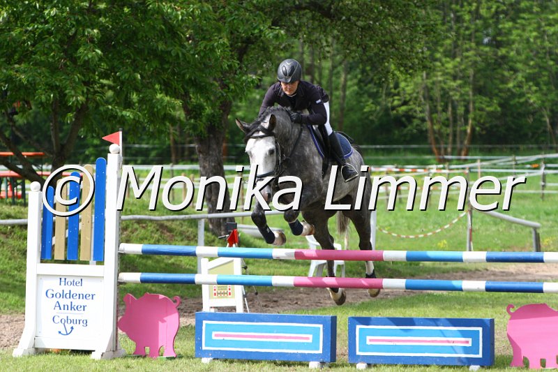 005M6422_Cobelix_Springpferde L.JPG